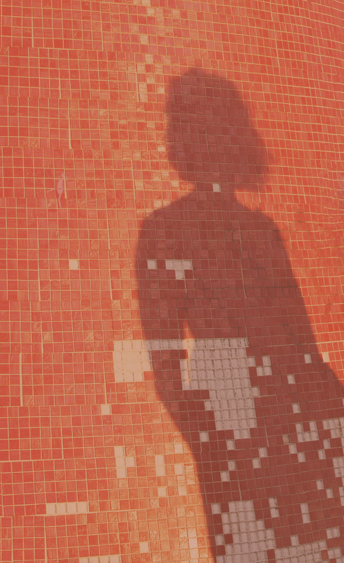 Progetto senza titolo (1)